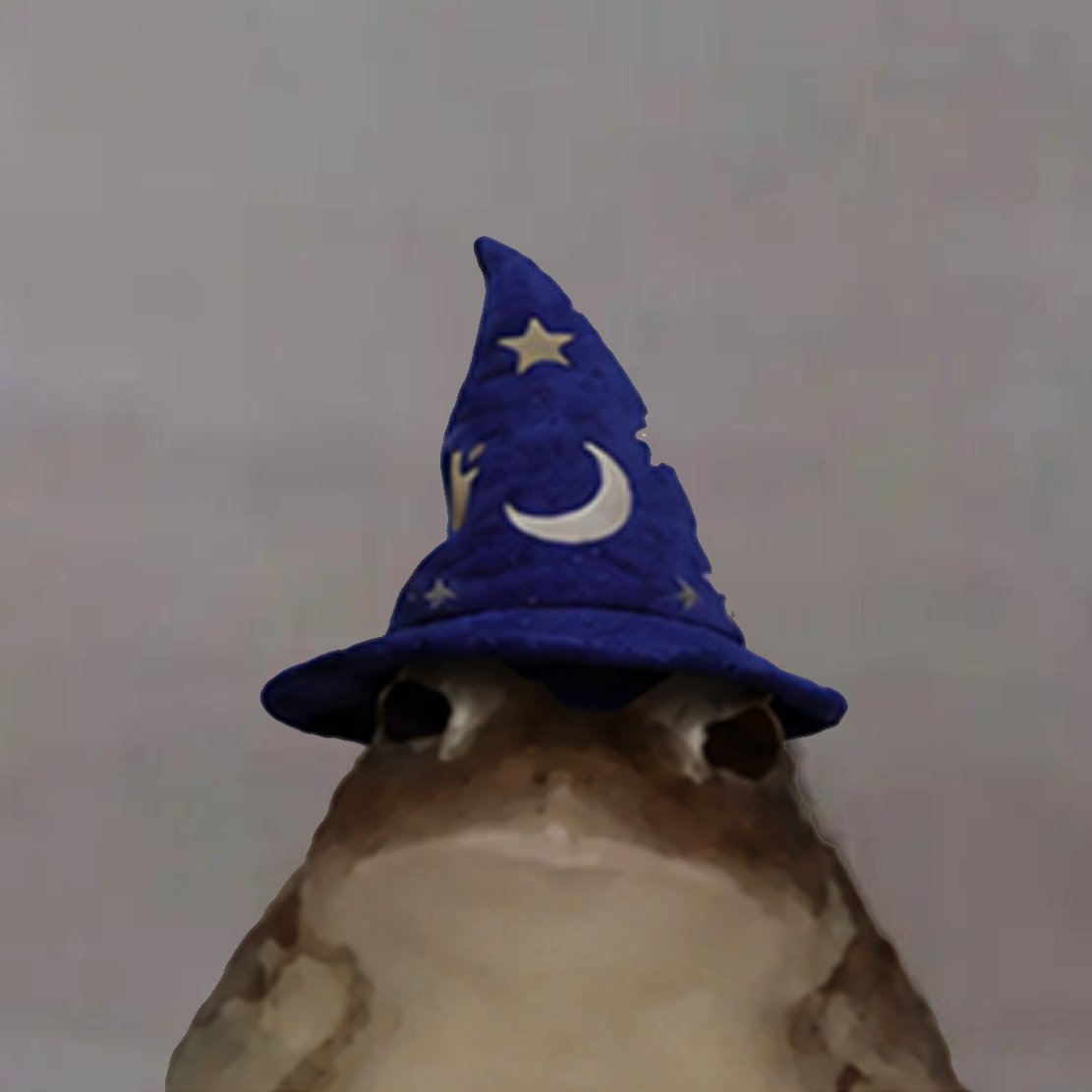 magic internet freg