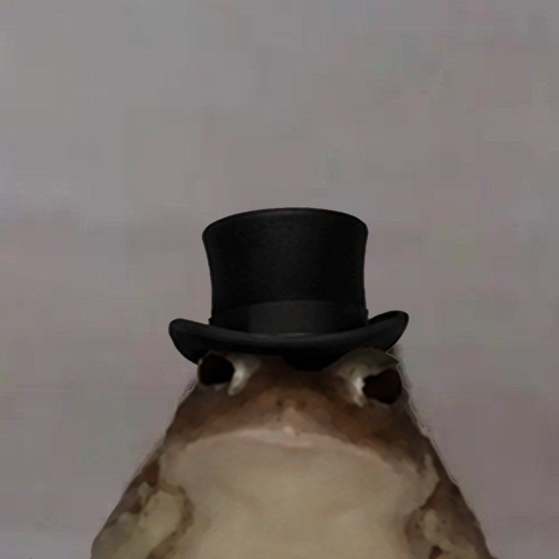 sir freg