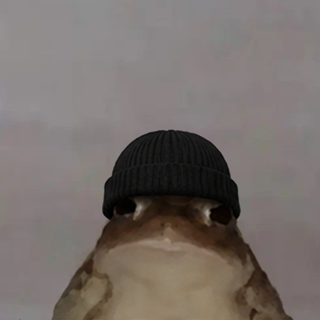 fregwifhat